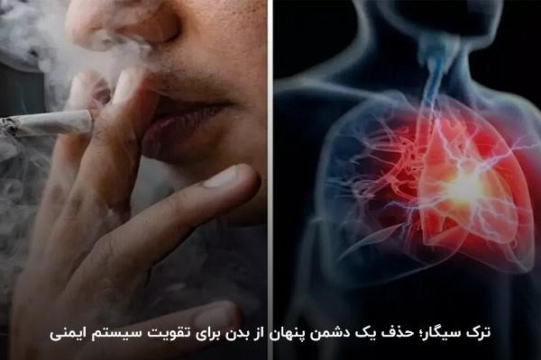 تاثیر سیگار در سیستم ایمنی بدن 