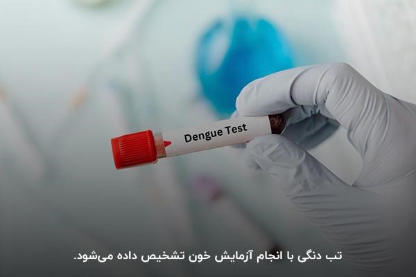 انجام آزمایش خون؛ مهم‌ترین روش تشخیص تب دنگی